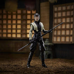 G.I. JOE SNAKE EYES HASBRO RUCHOMA  AKIK - widok 6 opakowania szczegoly zabawka kolekcja