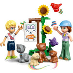 LEGO FRIENDS BARDZO DUŻY ZESTAW KLOCKÓW  - widok 3 LEGO opakowanie szczegoly collectible