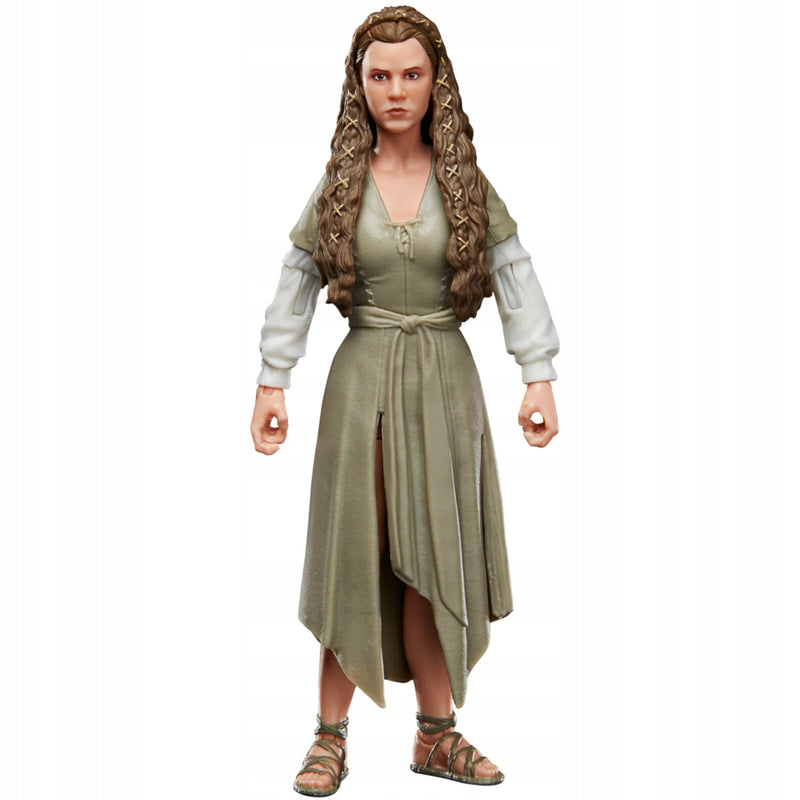 STAR WARS THE BLACK SERIES KSIĘŻNICZKA L - widok 5 opakowania szczegoly zabawka kolekcja