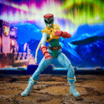POWER RANGERS STREET FIGHTER COLLECTION  - widok 8 opakowania szczegoly zabawka kolekcja