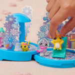 HATCHIMALS COLLEGGTIBLES ZESTAW RAINBOW  - widok 4 opakowania szczegoly zabawka kolekcja